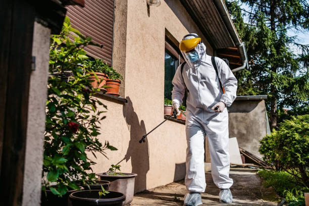 Best Rat Extermination Near Me  in Kalamazoo, MI