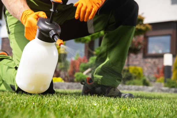 Best Ant Control Services  in Kalamazoo, MI