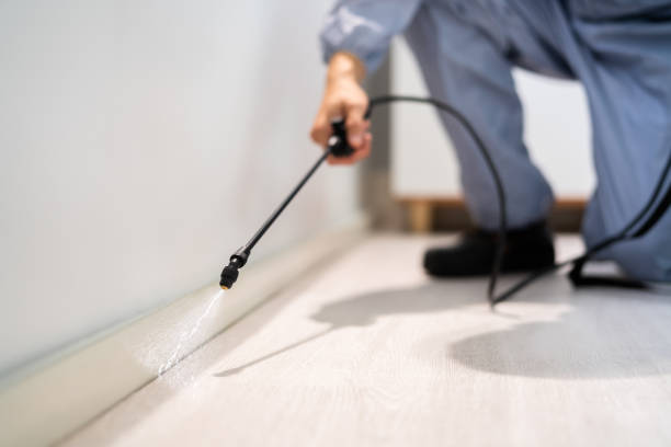 Professional Pest Control in Kalamazoo, MI
