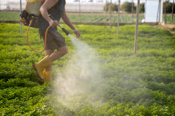 Pest Control for Restaurants in Kalamazoo, MI