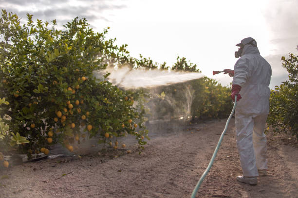 Best Insect Control  in Kalamazoo, MI