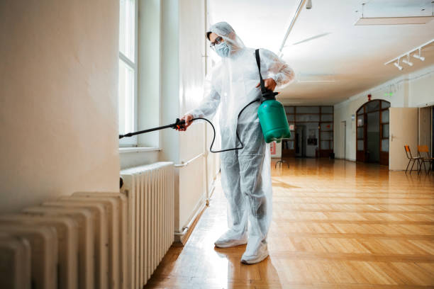 Best Termite Control Services  in Kalamazoo, MI