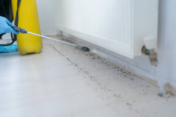 Best Wasp Removal Services  in Kalamazoo, MI