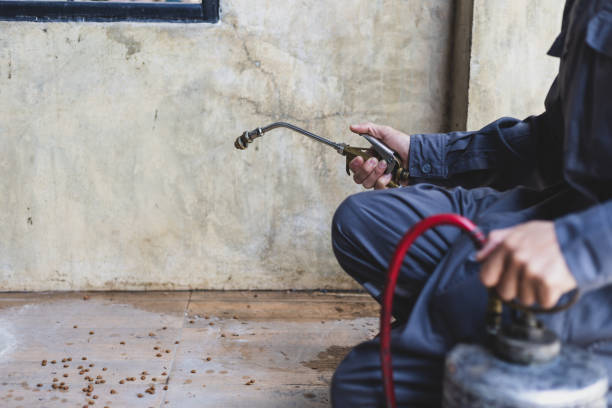 Best Exterminator Services  in Kalamazoo, MI